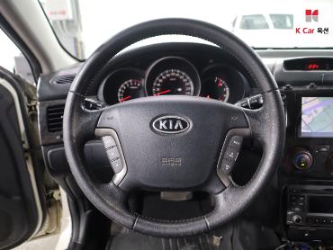 2009 - kia roche