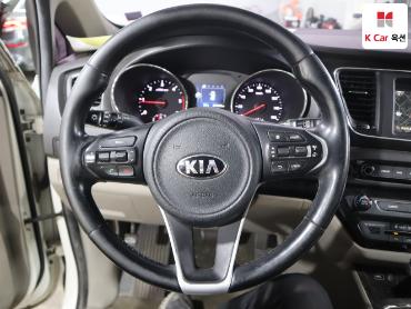 2017 - kia carnival