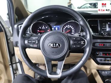 2017 - kia carnival
