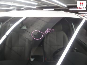 2019 - kia carnival
