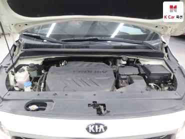 2019 - kia carnival