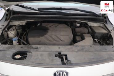 2019 - kia carnival