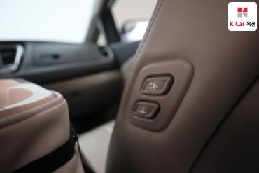 2019 - kia carnival