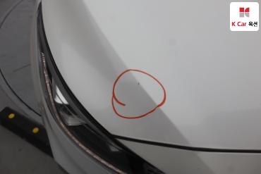2019 - kia carnival