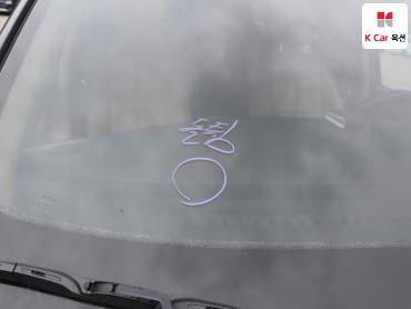 2018 - kia carnival