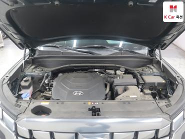 2024 - hyundai palisade