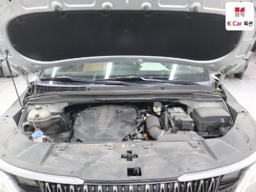 2021 - kia carnival