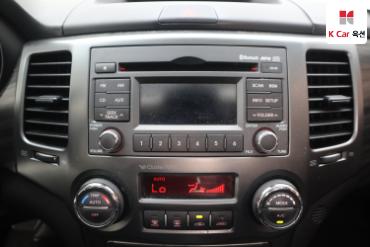 2010 - kia roche