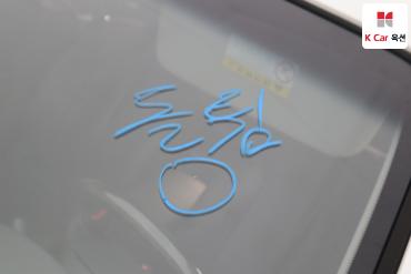 2010 - kia roche