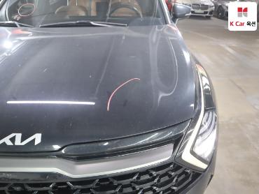2023 - kia sportage