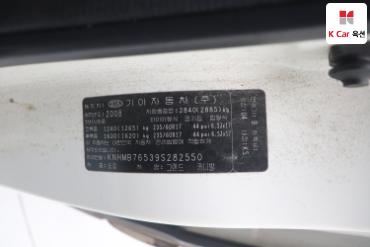 2009 - kia carnival