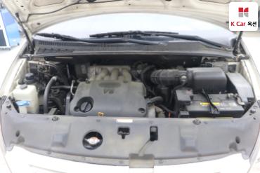 2009 - kia carnival