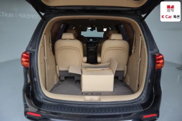2019 - kia carnival