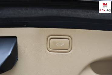 2019 - kia carnival