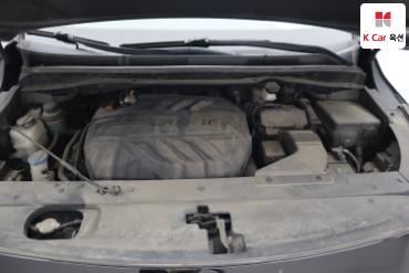 2019 - kia carnival