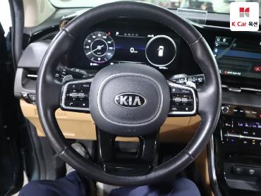 2021 - kia carnival