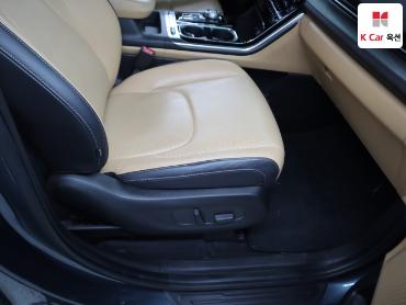 2021 - kia carnival