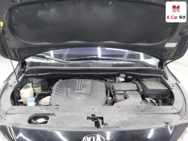 2017 - kia carnival