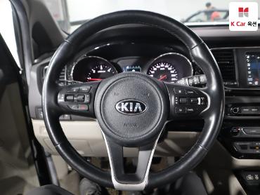 2018 - kia carnival