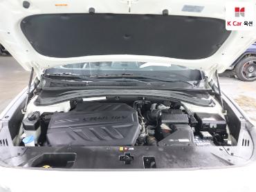 2019 - hyundai santa fe
