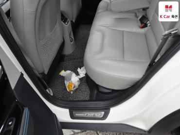 2018 - kia niro
