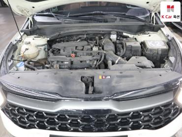 2022 - kia sportage