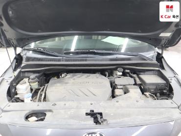 2019 - kia carnival