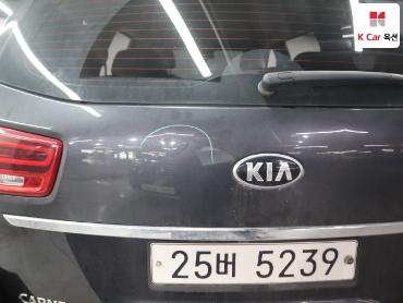2019 - kia carnival