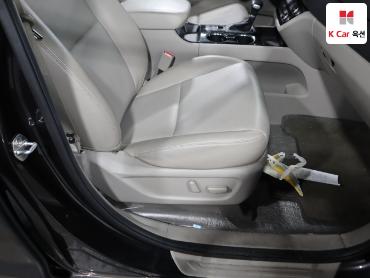 2019 - kia carnival
