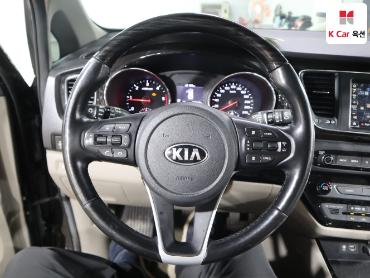 2019 - kia carnival