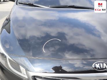 2017 - kia carnival