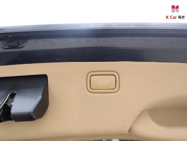 2017 - kia carnival