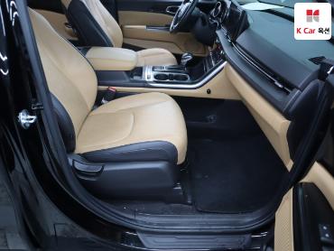 2021 - kia carnival