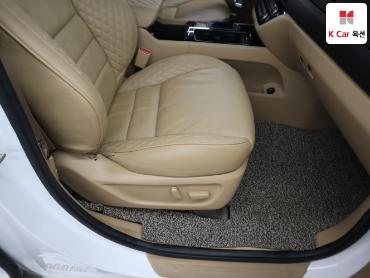 2018 - kia carnival