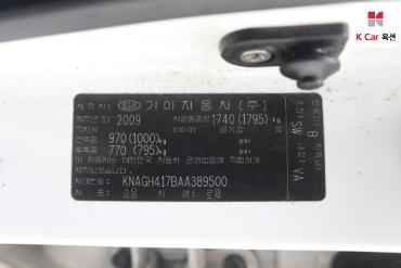 2010 - kia roche