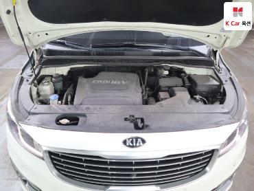 2016 - kia carnival
