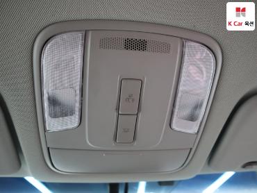 2016 - kia carnival