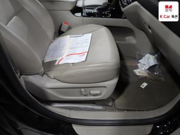 2019 - kia carnival