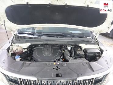 2022 - kia carnival
