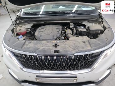 2021 - kia carnival