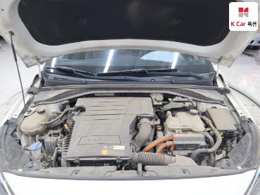 2016 - hyundai ioniq