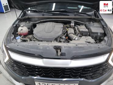 2023 - kia sportage