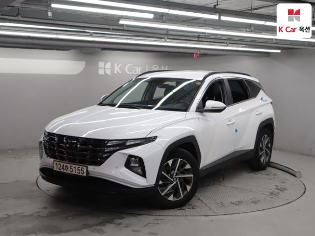 2021 Hyundai Tucson 2.0 Diesel Premium